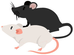 Трансгенные мыши 5xFAD и FUS(1-359)